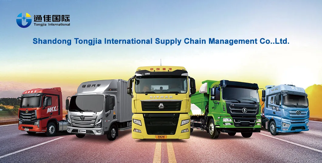 Suporte de Montagem de Para-choque de Peças de Reposição Sinotruk com Wg9925930202, Peças de Reposição Shacman /FAW/Foton Dongfeng