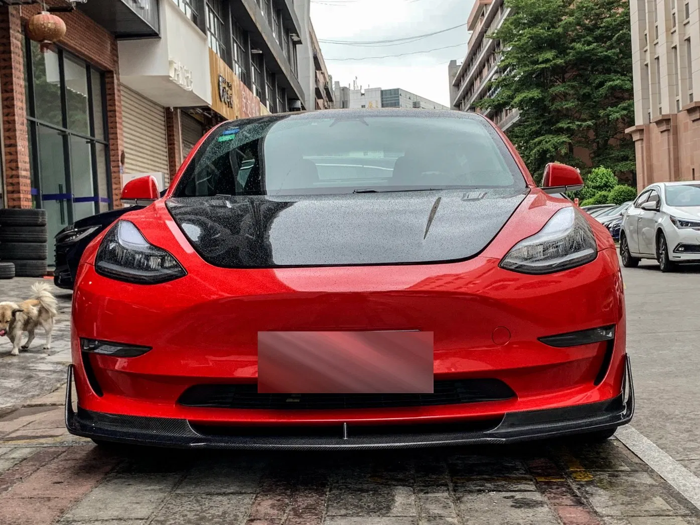 Novo Kit de Carro de Performance em Fibra de Carbono para o Para-choque Dianteiro 2014 2015 2018 2020 2023 Tesla Model Y