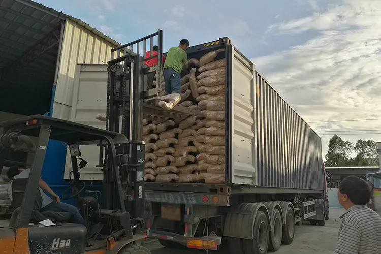 Fornecimento Direto de Fábrica de Parachoque Bull Bar para Ford Ranger