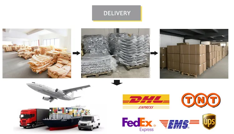 Processo de Embalagem e Envio Logístico