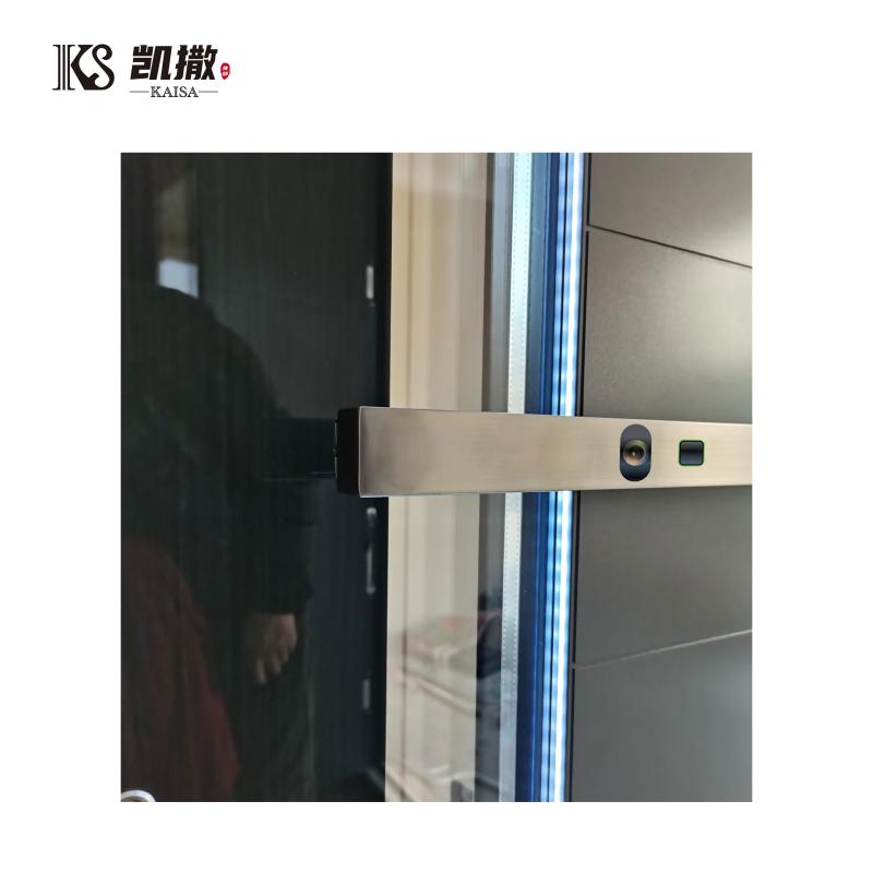 Aluminum Entry Pivot Door Modern Atmospheric Design Strong Burglar Exterior Glass Entry Door Aluminum Front Iron Entry Doors