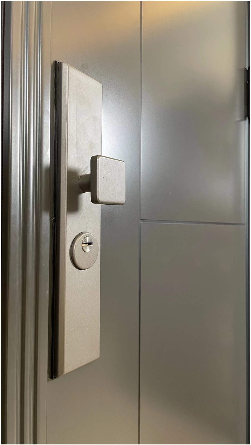 Security Door Details 5