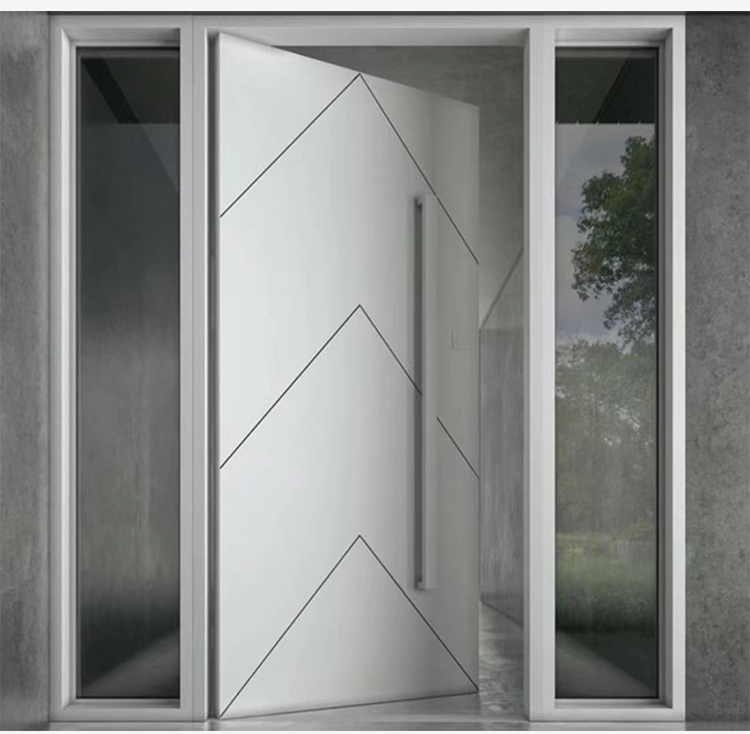 Stainless steel door details 3