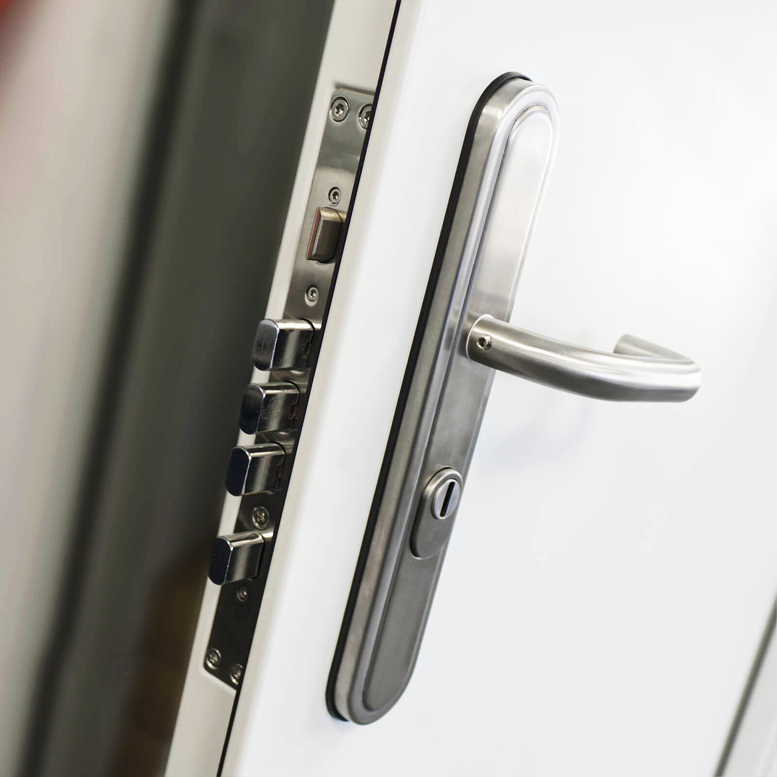 Modern Style Exterior Security Metal Anti Thief Steel Security Doors With Smart Lock and SS Lockset