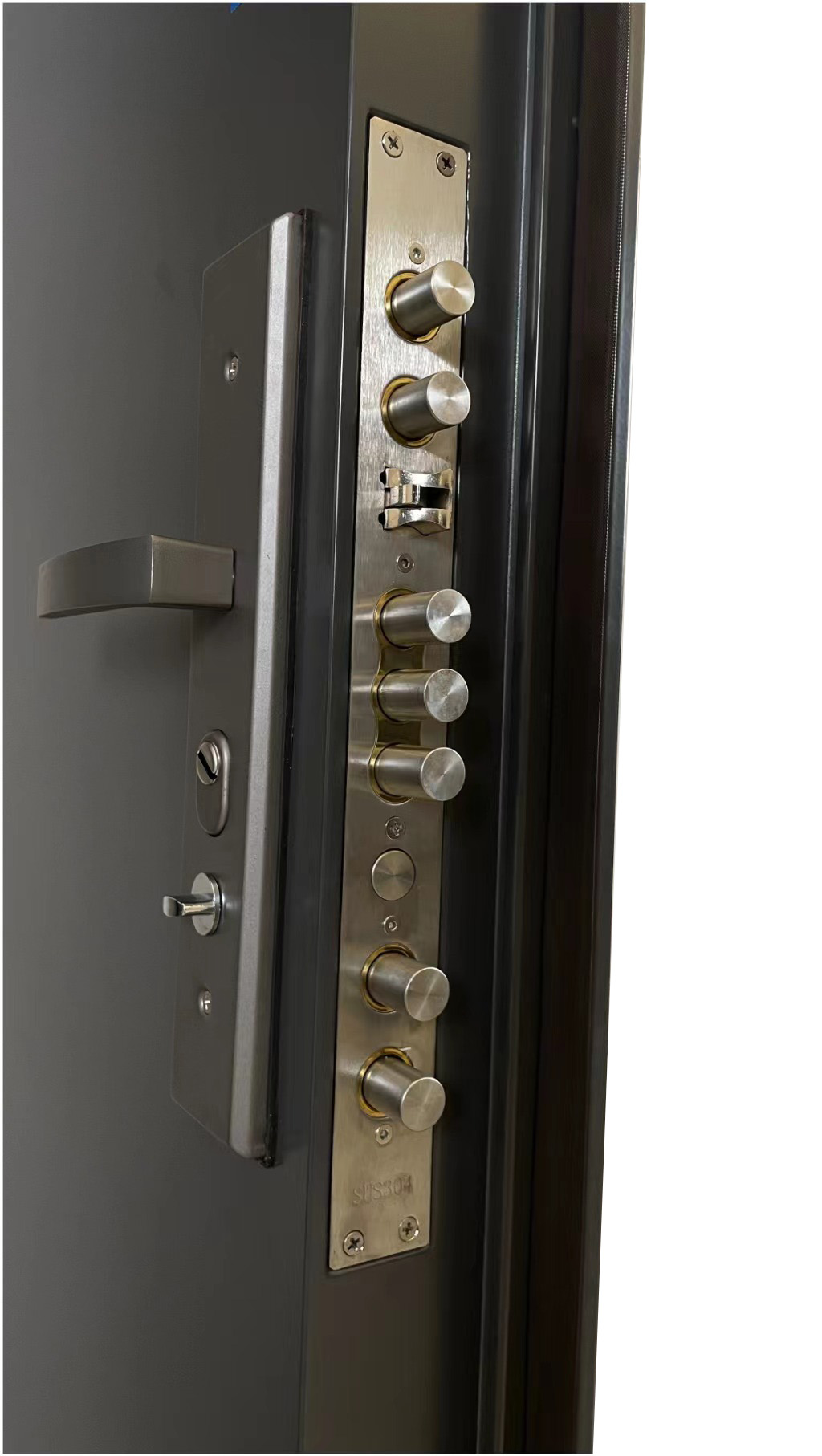 Security Door Details 4