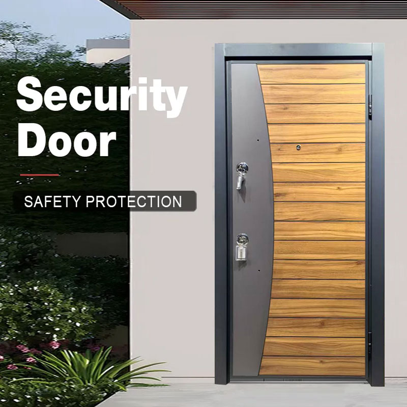 Luxury Security House Front Door