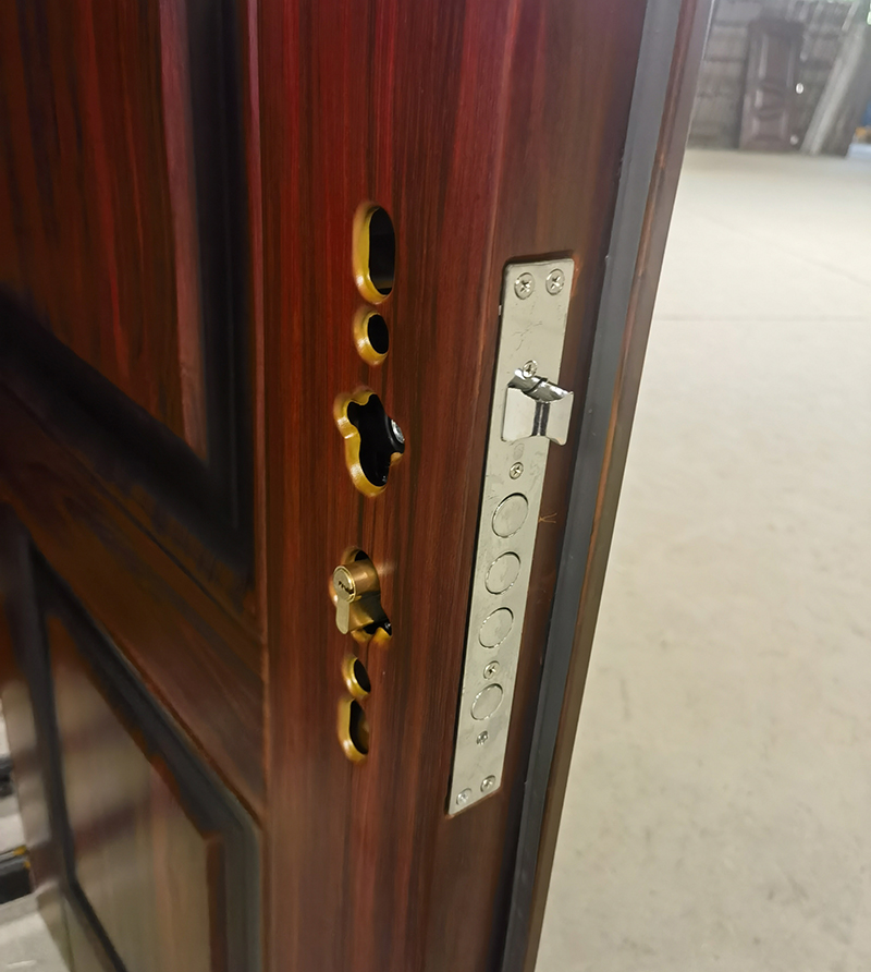 Security Door Model 5