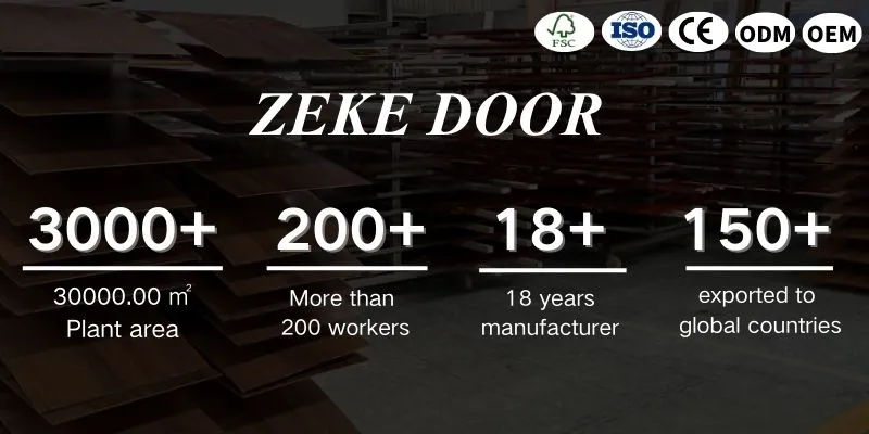 Modern Room Door Style 1