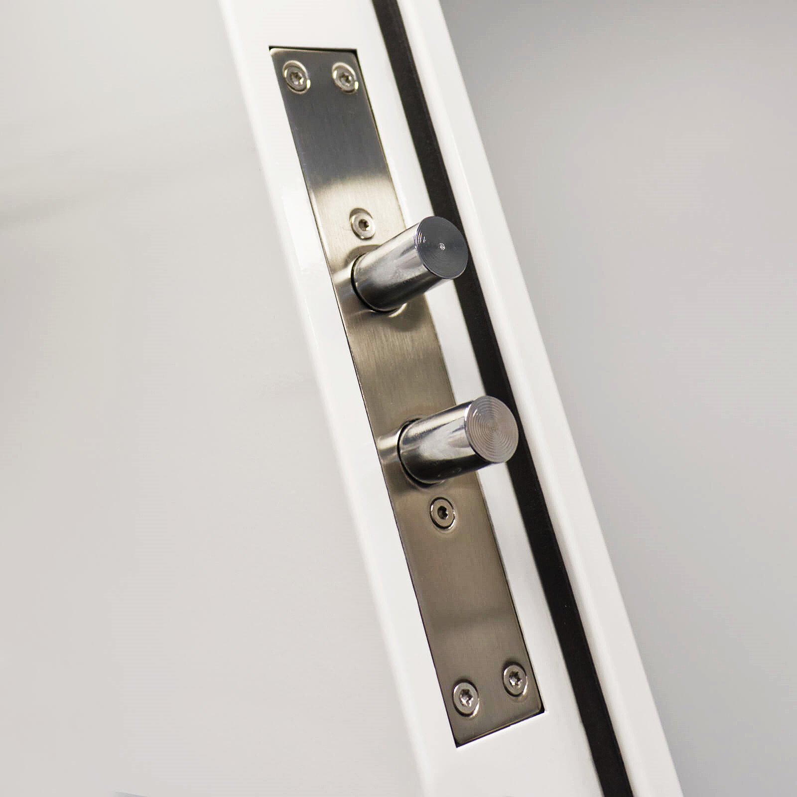 Modern Style Exterior Security Metal Anti Thief Steel Security Doors With Smart Lock and SS Lockset