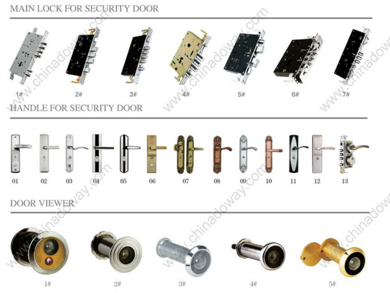 Metallic Security Door Details 2