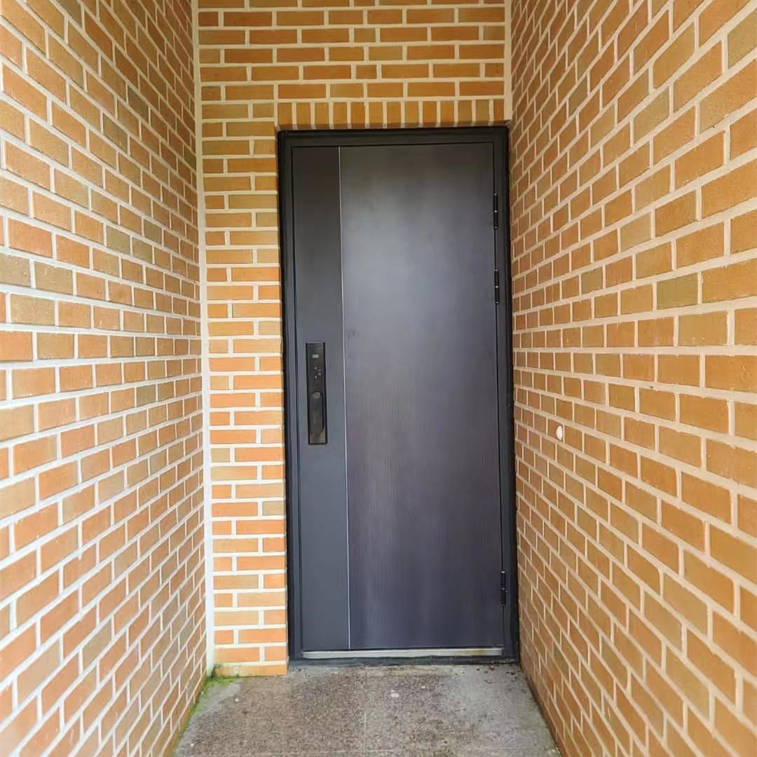 Modern Style Exterior Security Metal Anti Thief Steel Security Doors With Smart Lock and SS Lockset