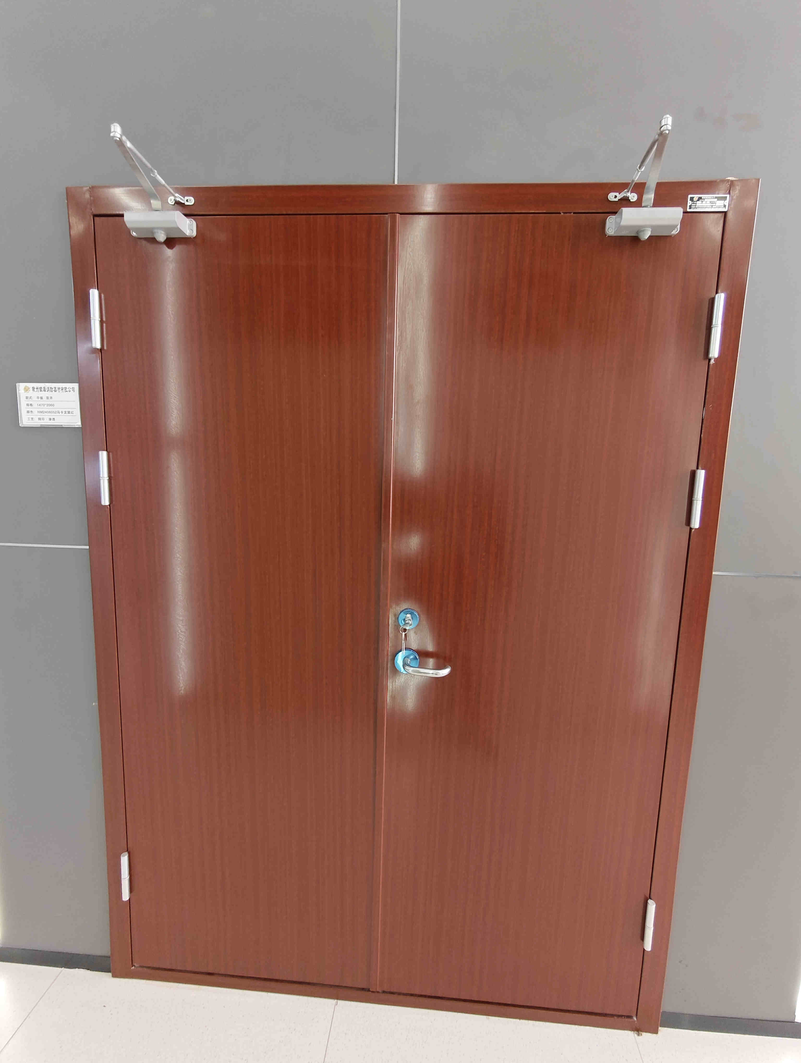 Fire Door Hinge and Hardware Detail 1