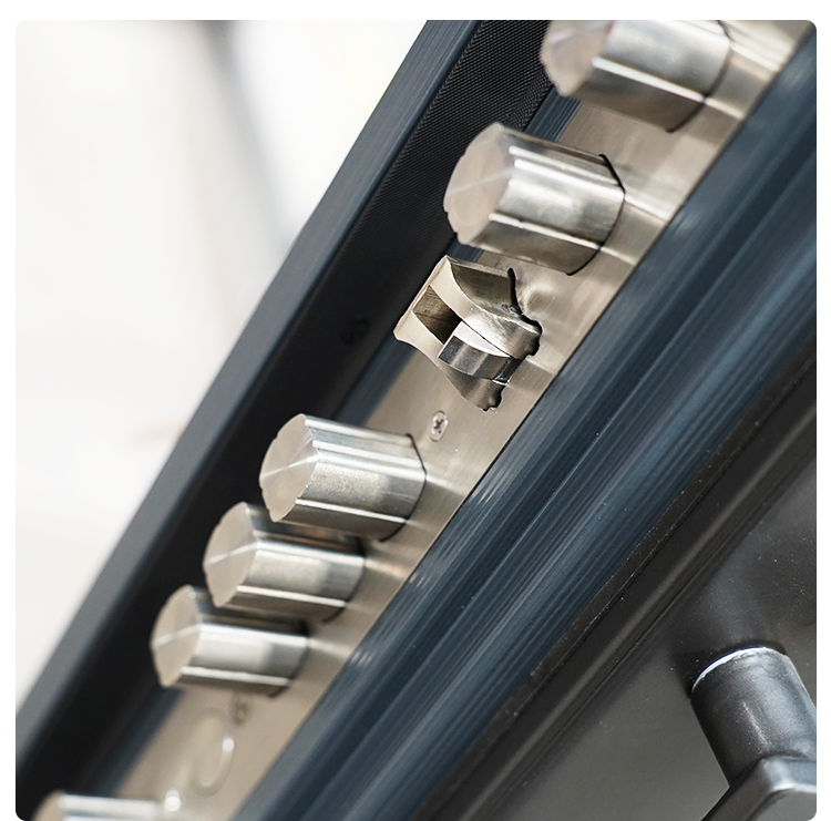 Security Door Feature 7