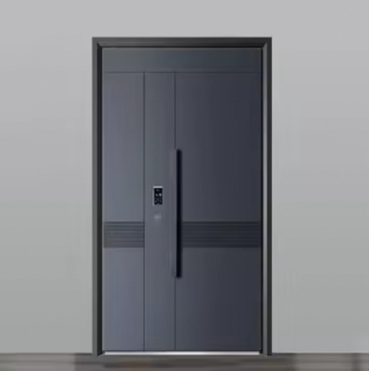 Door Design Options 1