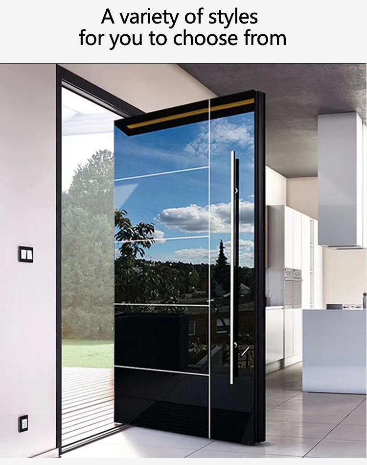 Stainless steel door details 2
