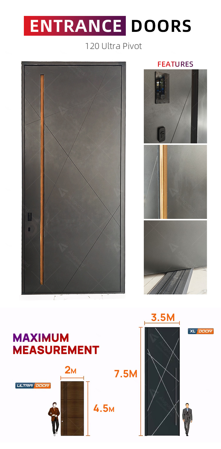 Modern Entrance Door Section 5