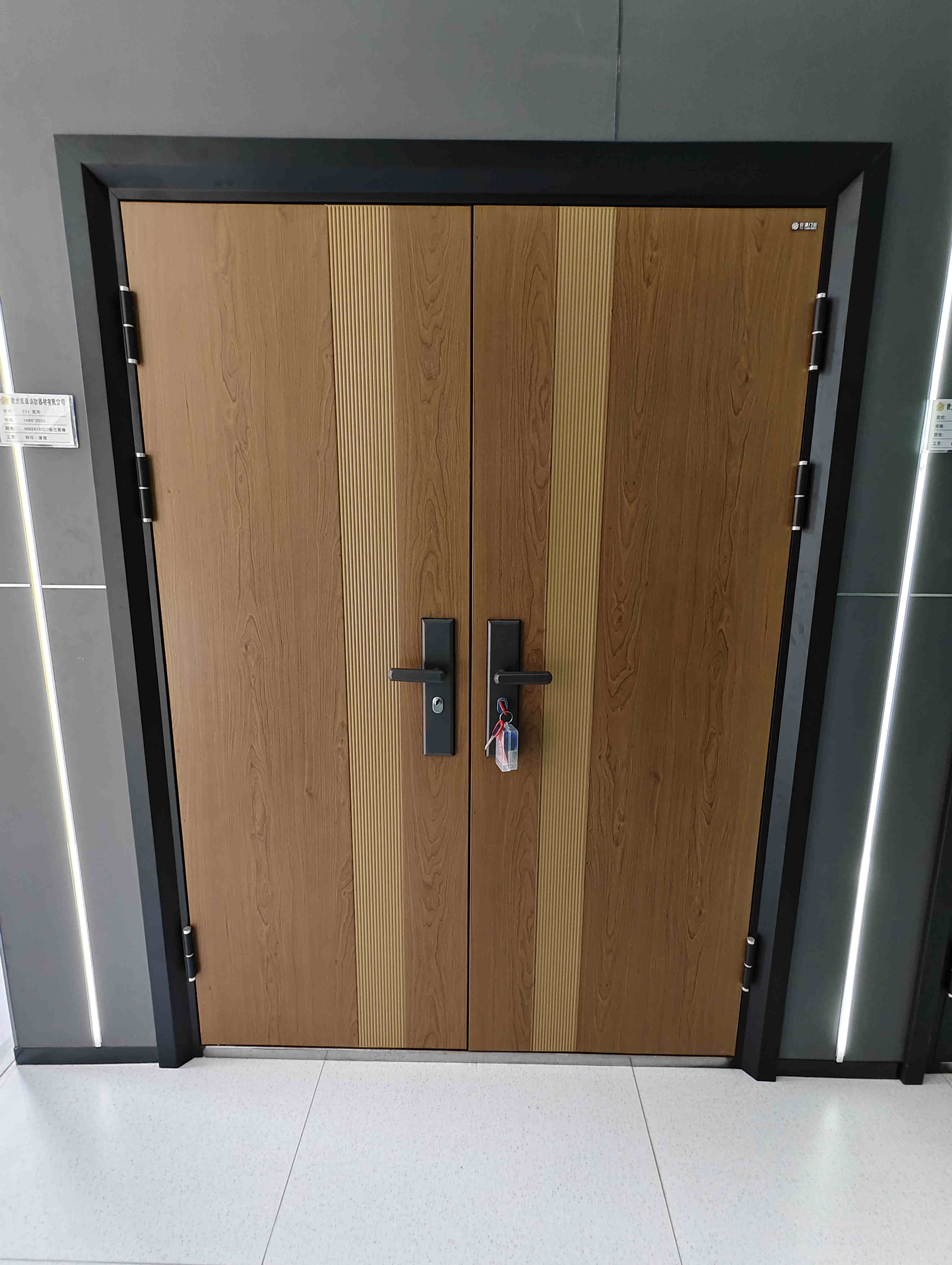 Fire Door Lock Detail 2