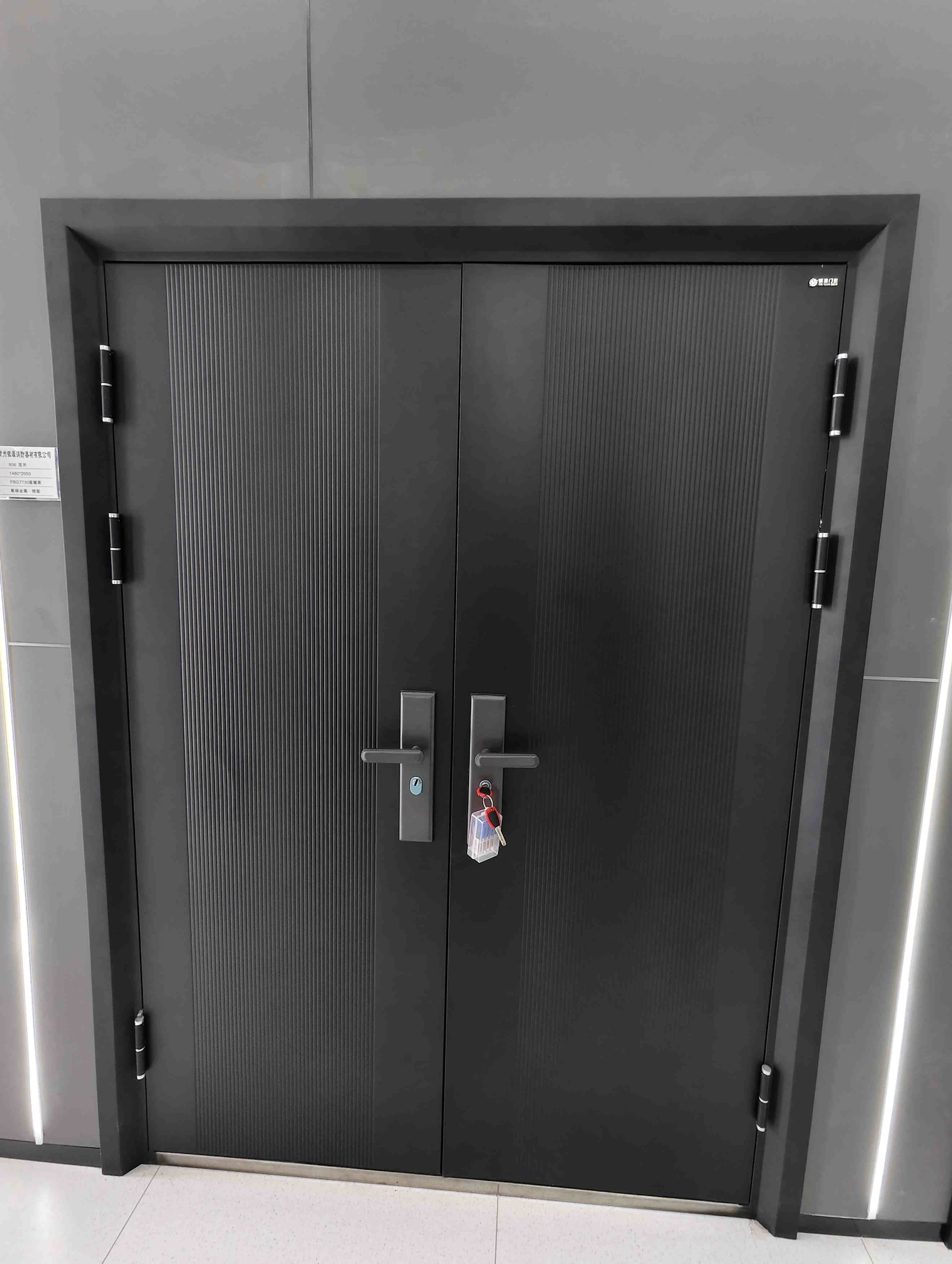 Fire Door Lock Detail 1