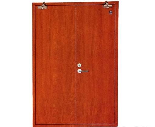 Acoustic Door Description 3