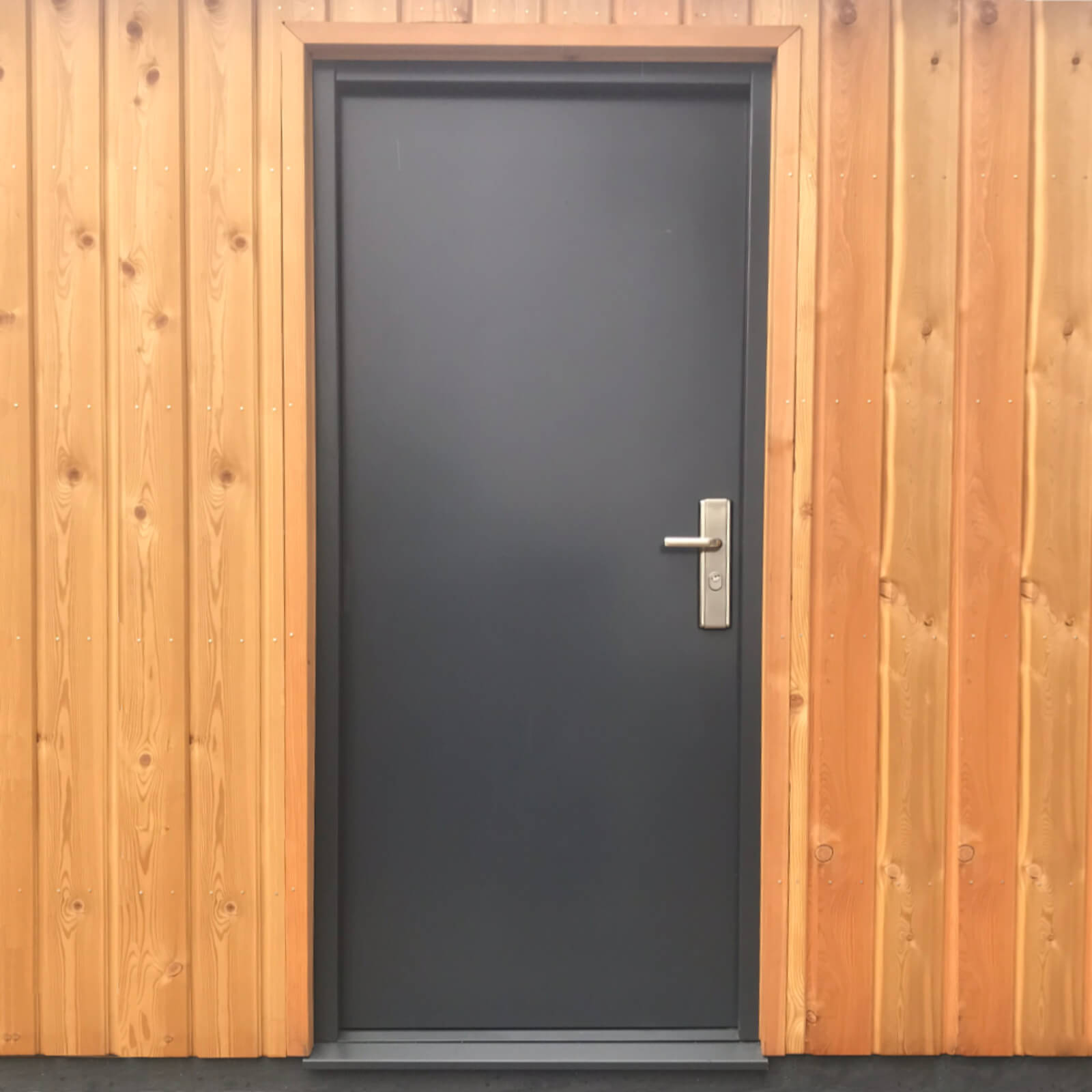 Modern Style Exterior Security Metal Anti Thief Steel Security Doors With Smart Lock and SS Lockset