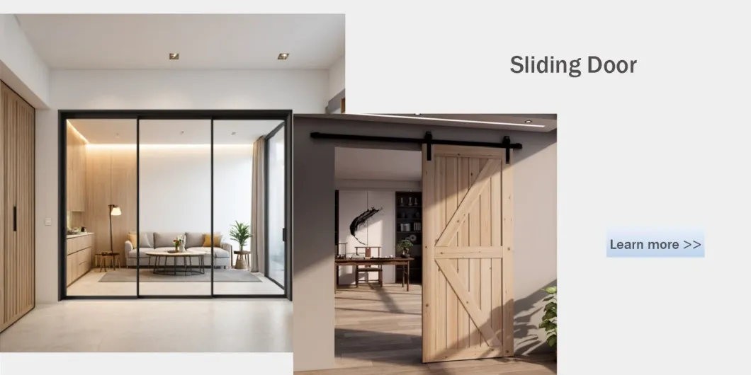 Modern Wood Door Style E