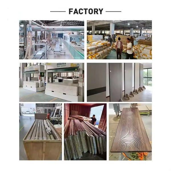 Modern Aluminum Villa Exterior Door Stainless Steel Front Security Entrance Entry Pivot Door for Houses