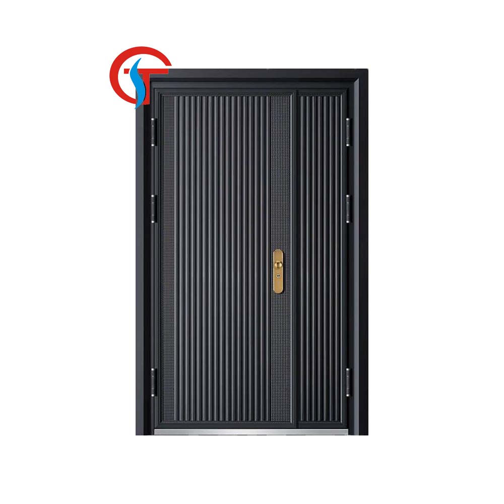 Modern iron entry doors