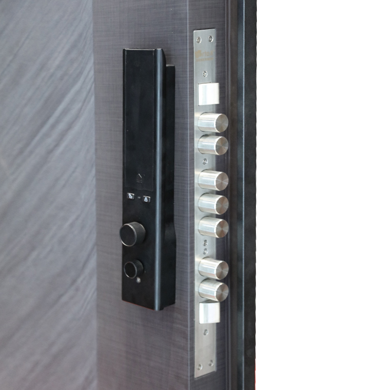 Multiple Locks Anti-theft Security Armored Door Front Entry Door