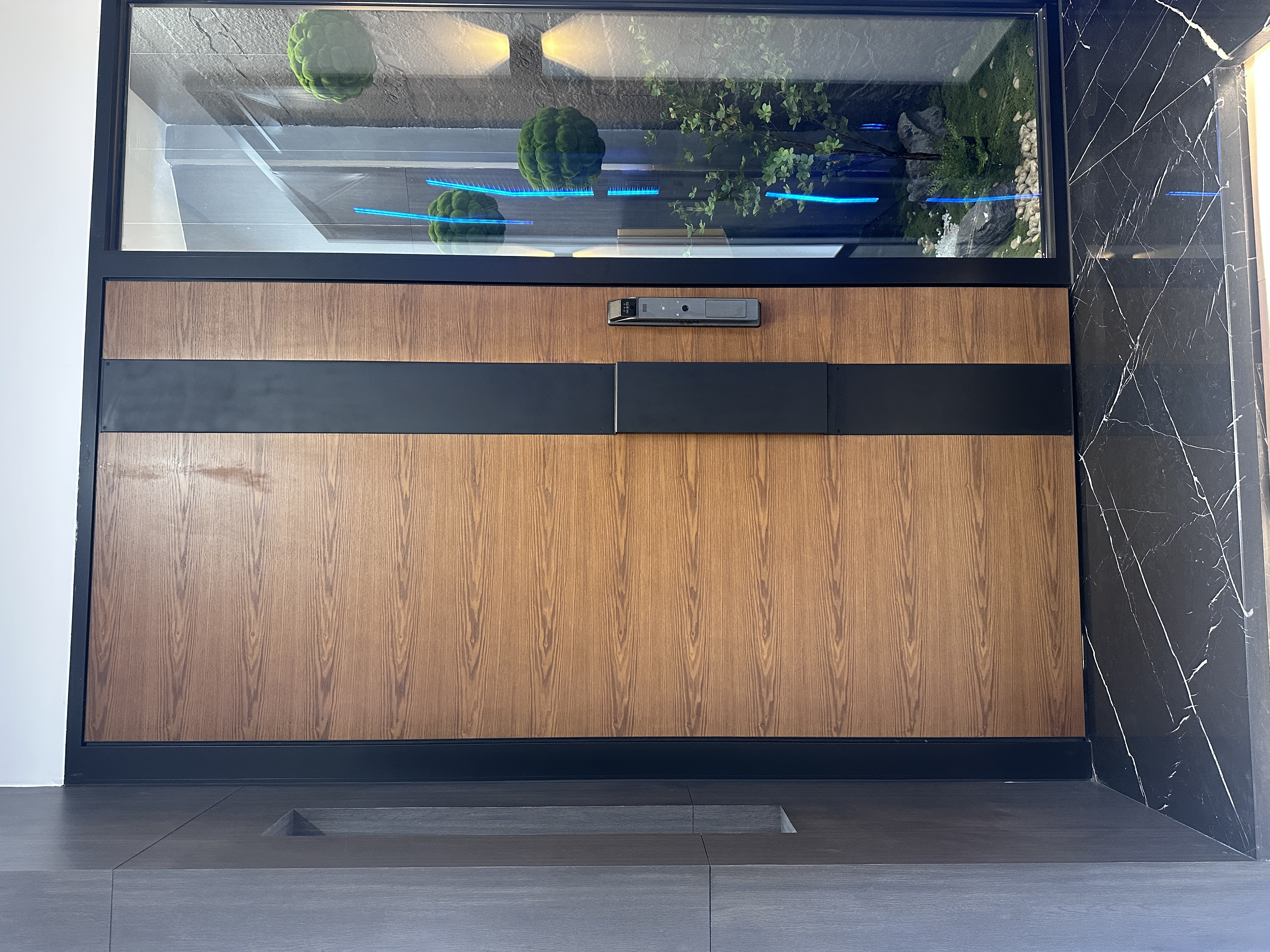 Modern Design Solid Wood Aluminium Entrance Front Entry Door Waterproof Hurricane Resistant External Pivot Doors with Smart Lock
