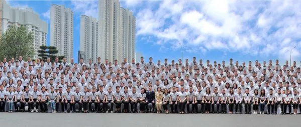 Dealer Team