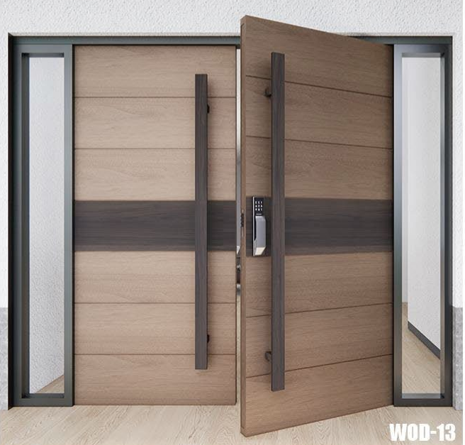 Contemporary Door Setup Interior View
