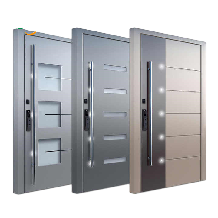 Pivot Door Showcase 1