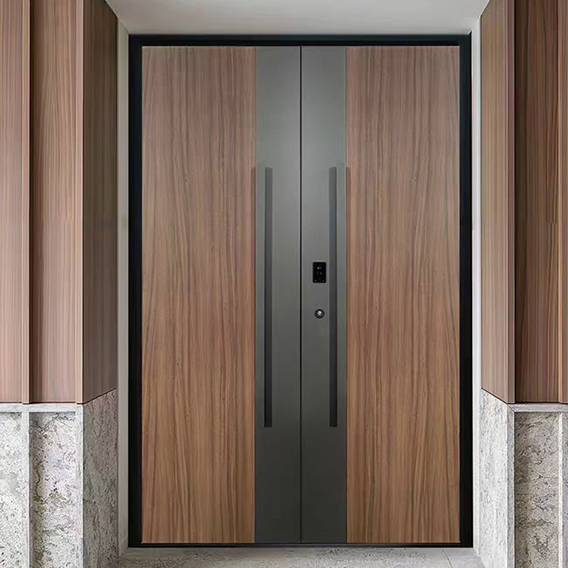 Modern Luxury Extra Design Modern Villa Exterior Pivot Front Main Entrance Door for Houses