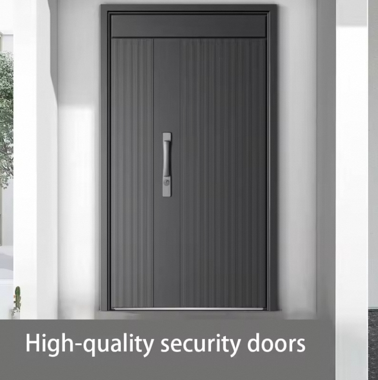 Door Design Options 2