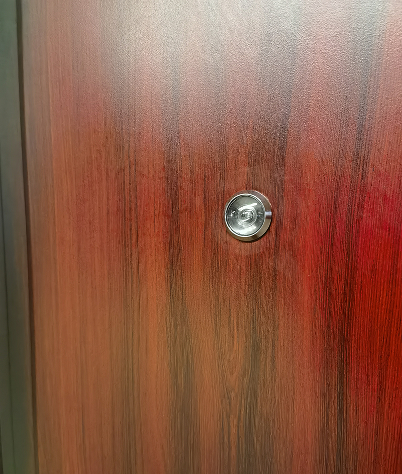 Security Door Model 7