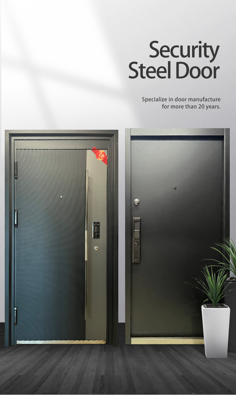 Steel Entry Door
