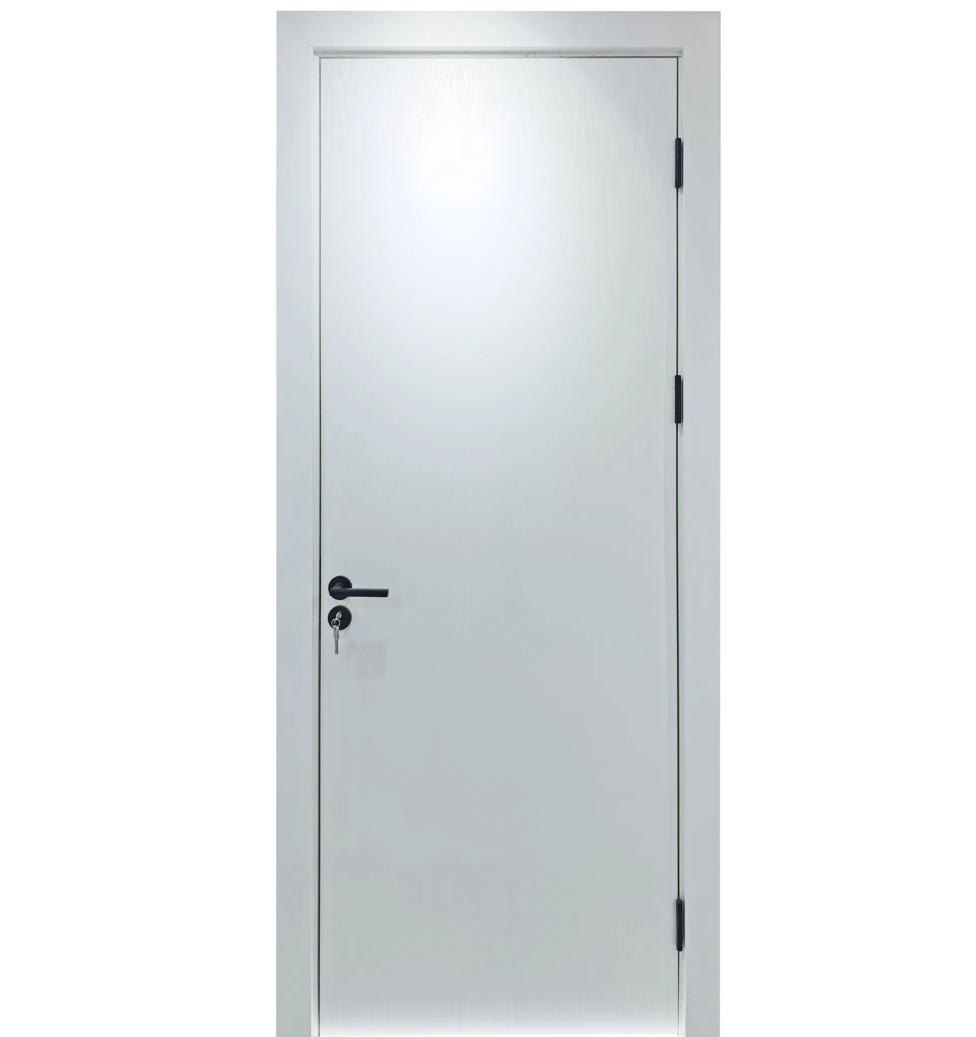 Door Details and Features