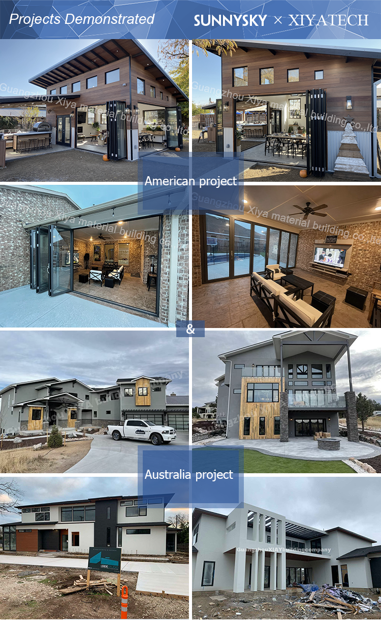 Sunnysky Australia Standard Customize Heavy Duty House Entry Front Door Modern Glass Pivot Entrance Door