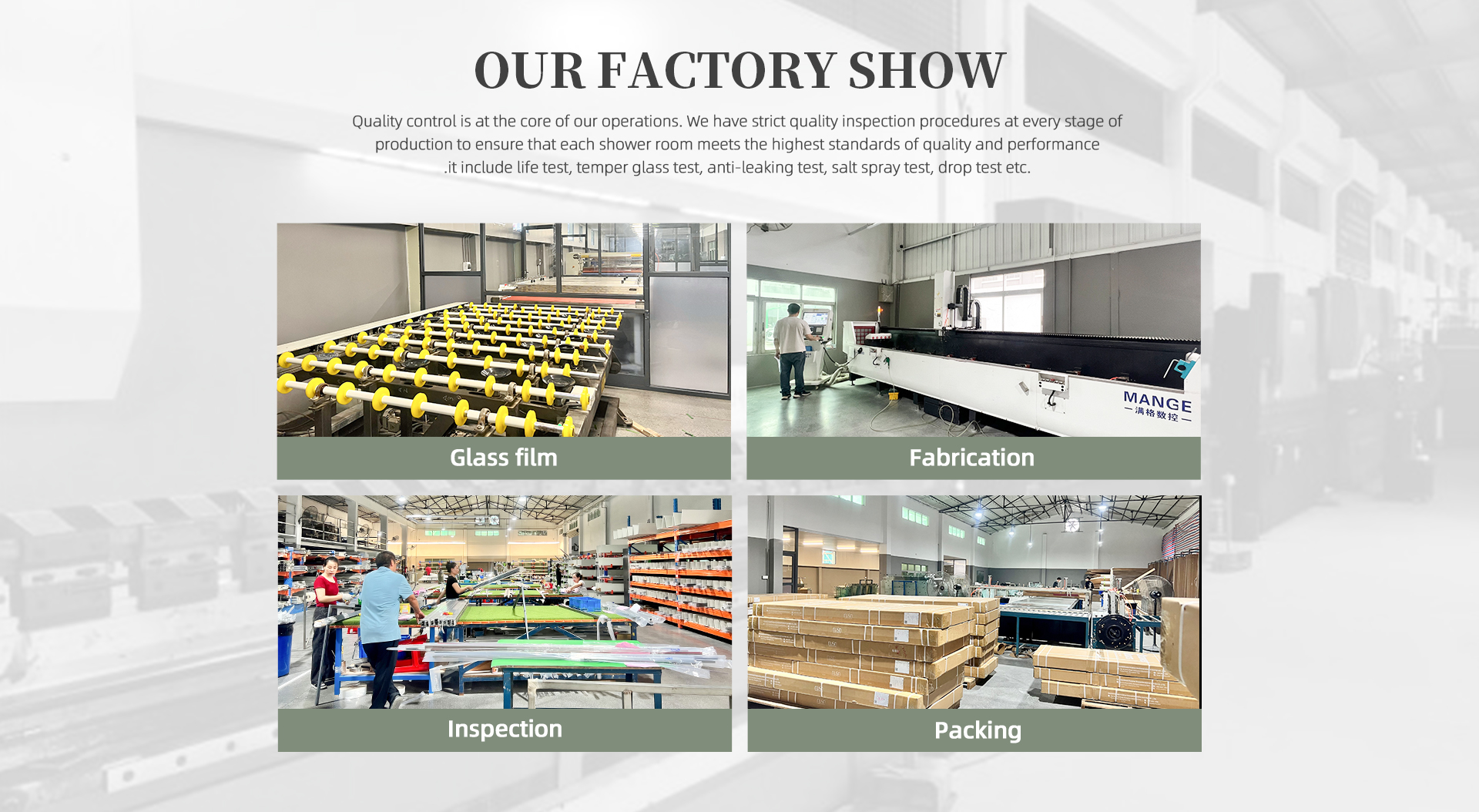 Company Showcase 3