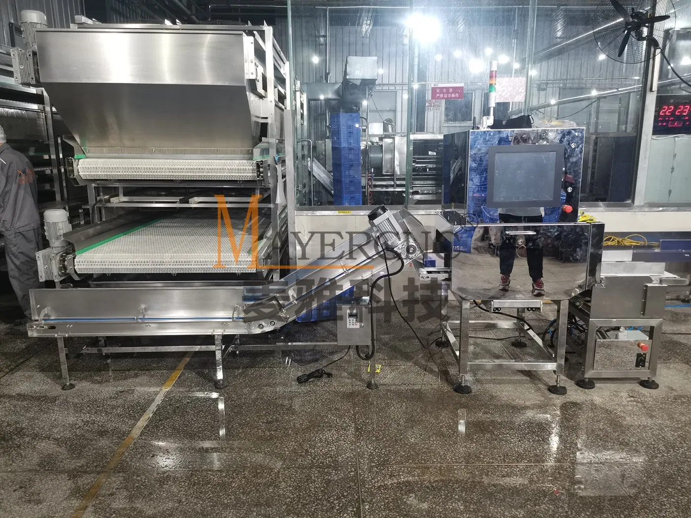 Advanced X-ray Inspection System for Snack Safety Assurance