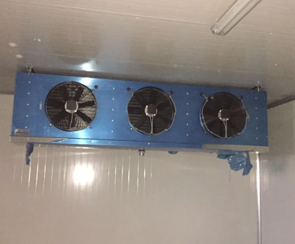 Advanced Cold Storage System