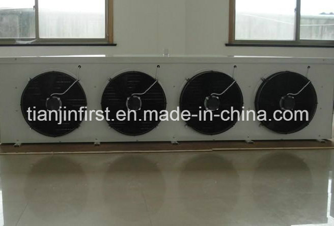 Innovative Cold Storage Systems with Cutting-Edge Refrigeration Technology