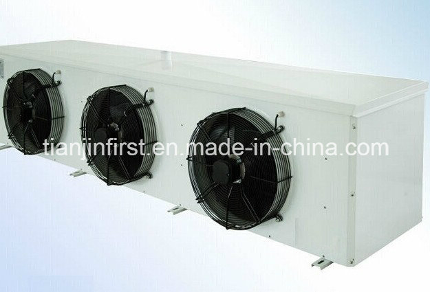 Innovative Cold Storage Systems with Cutting-Edge Refrigeration Technology