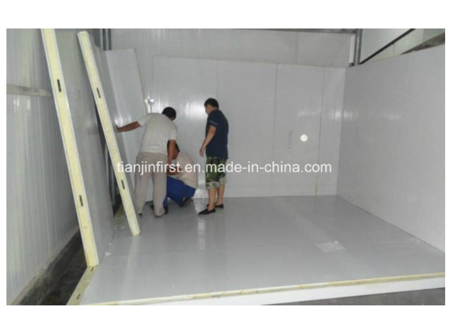 Advanced Cold Storage Systems with Cutting-Edge Refrigeration Technology