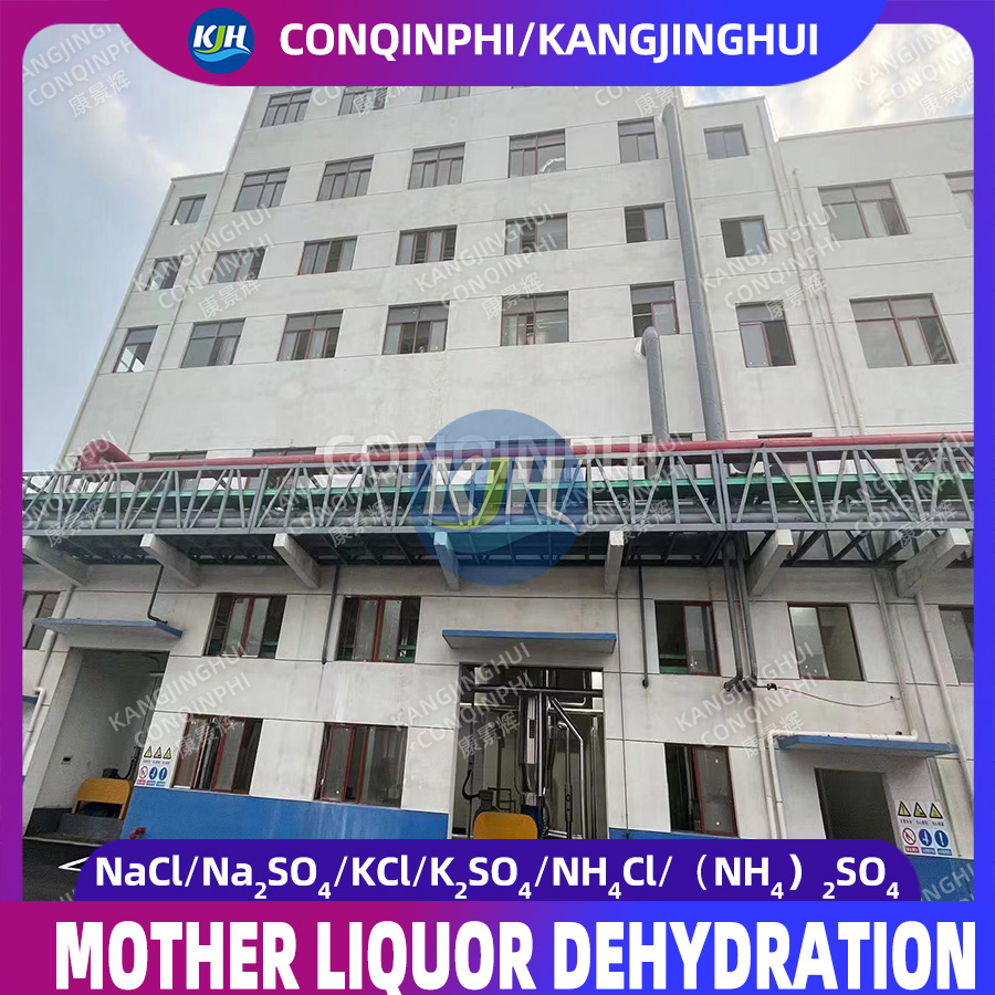 Cutting-Edge Mother Liquor Concentration System with Advanced Technology