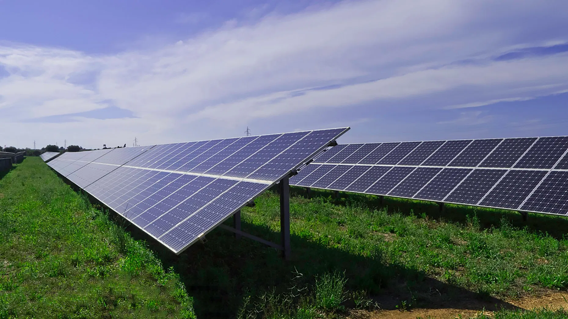 Solar Panel Ground Agriculture Solar Structure Mounting System Solar Farm with Factory Price