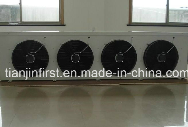 Innovative Cold Storage Systems with Cutting-Edge Refrigeration Technology