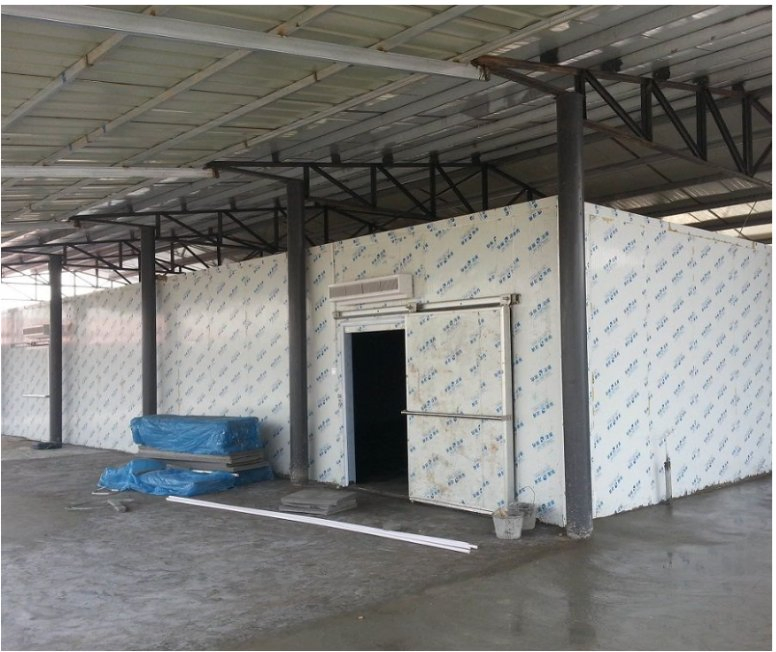 Advanced Cold Storage Systems with Cutting-Edge Refrigeration Technology