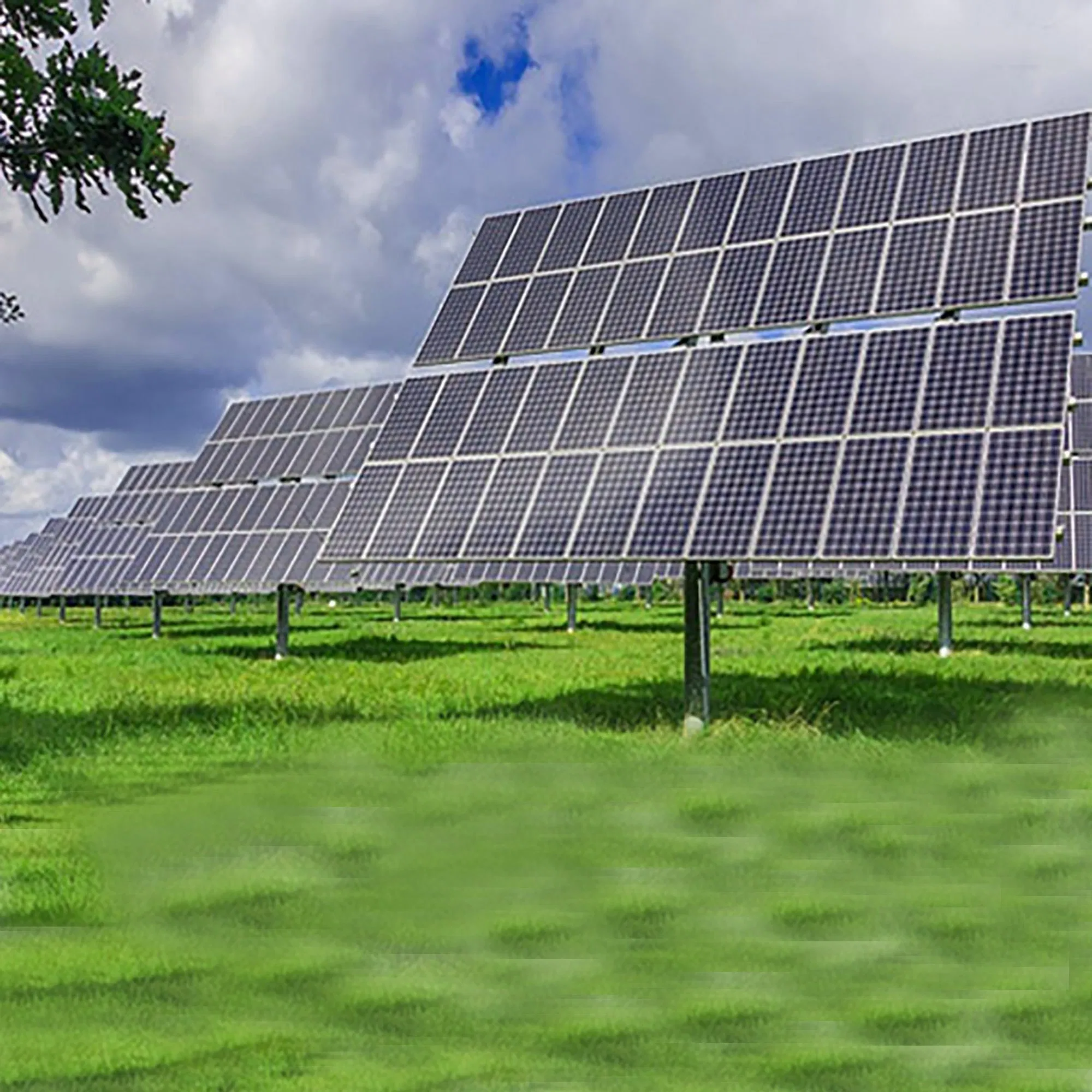 Solar Panel Ground Agriculture Solar Structure Mounting System Solar Farm with Factory Price