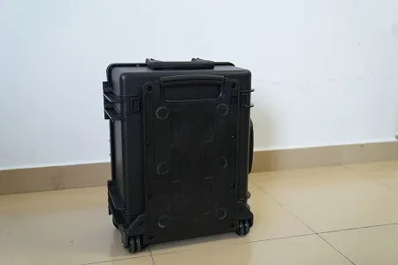 Portable Cleaning Device